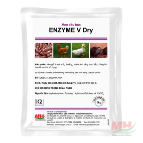 Enzyme V Dry (1 kg)