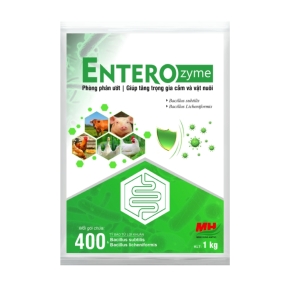 ENTEROZYME