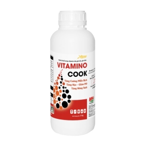 VITAMINO COOK