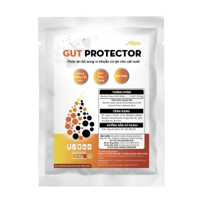 GUT PROTECTOR 