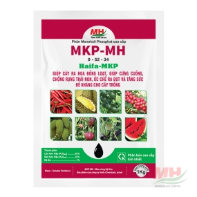 MKP-MH/ Haifa MKP (0-52-34)