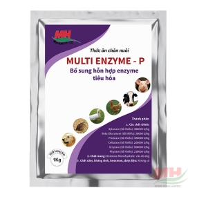 Multi Enzyme-P