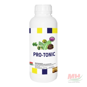PRO-TONIC