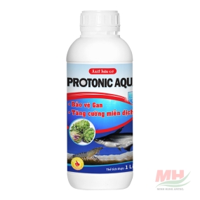 Protonic Aqua