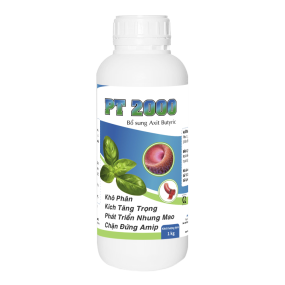  PT 2000