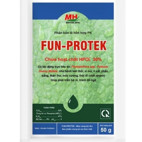FUN-PROTEK