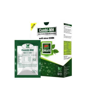 Combi-MH/ Multi-micro Comb