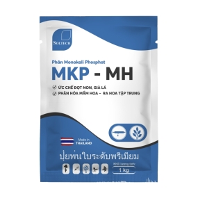 MKP 00-52-34/MKP-MH