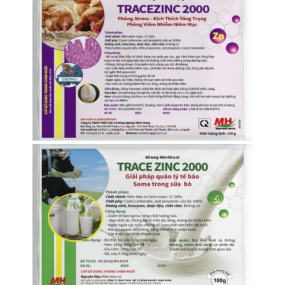 TRACEZINC 2000