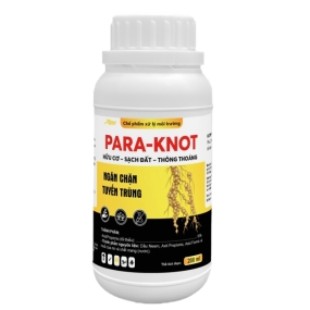 PARA-KNOT
