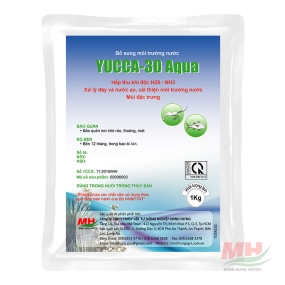 Yucca-30 Aqua