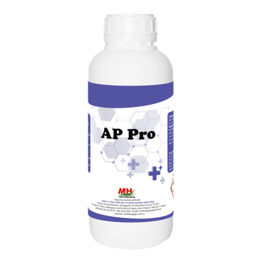 AP Pro