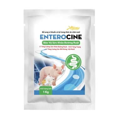 ENTEROCINE