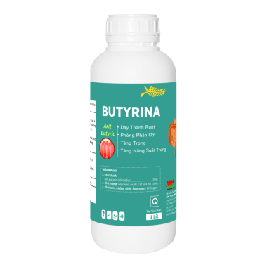 BUTYRINA