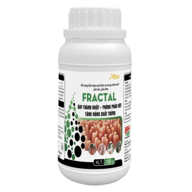FRACTAL