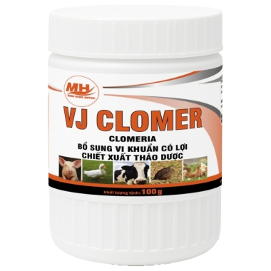 VJ CLOMER