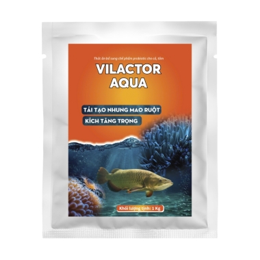 VILACTOR AQUA