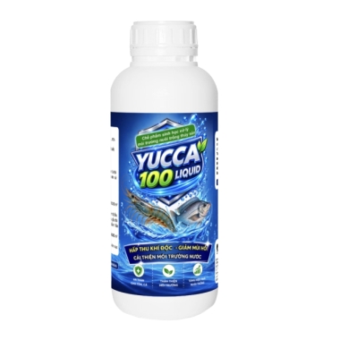 YUCCA 100 AQUA