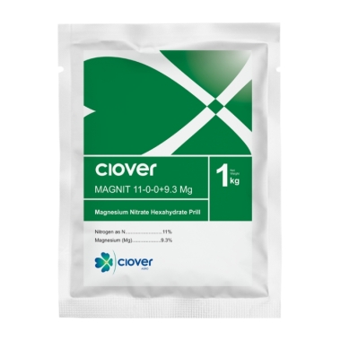 CLOVER MAGNIT/MAGNI-MH GROWTH