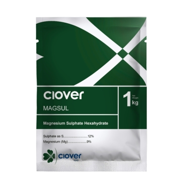 CLOVER MAGSUL/BITTERMAG MH