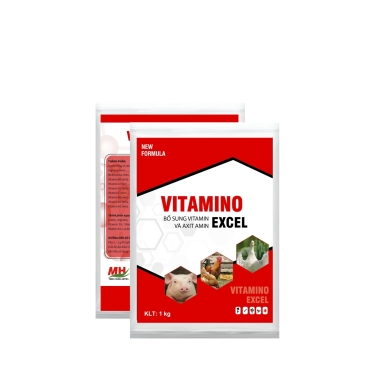 VITAMINO EXCEL