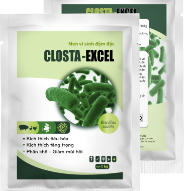 CLOSTA-EXCEL