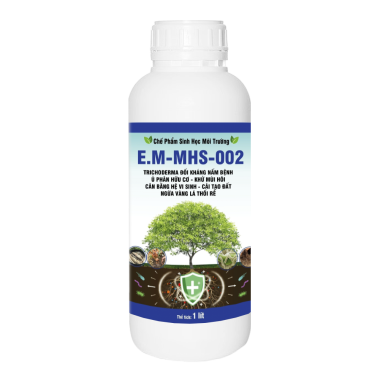 E.M-MHS-002