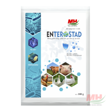 ENTEROSTAD