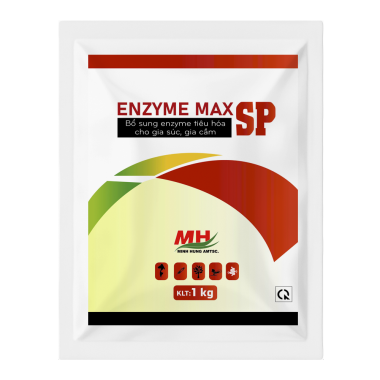 ENZYME MAX SP