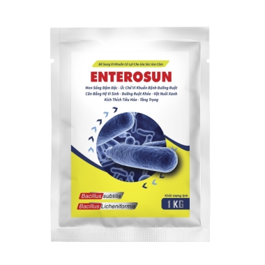 ENTEROSUN
