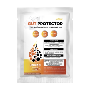 GUT PROTECTOR 