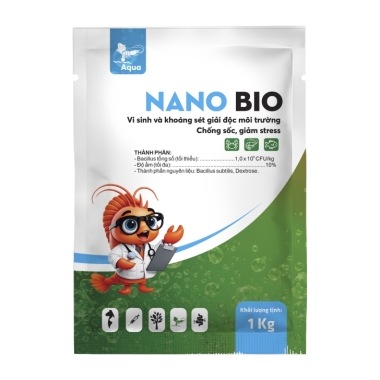 NANO BIO