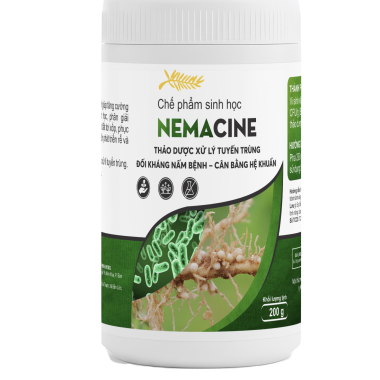 NEMACINE