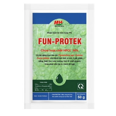 FUN-PROTEK
