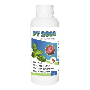  PT 2000