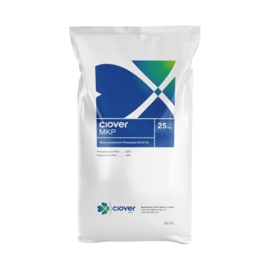 CLOVER MKP/MKP-MH