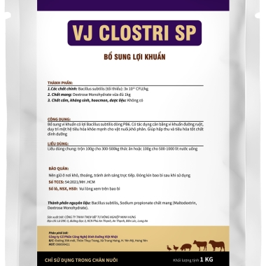 VJ  CLOSTRI  SP