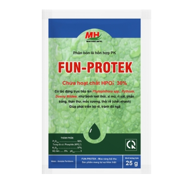 FUN-PROTEK