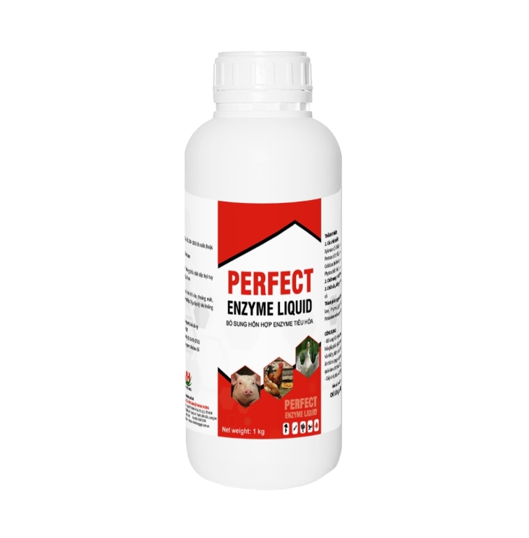 PERFECT ENZYME LIQUID