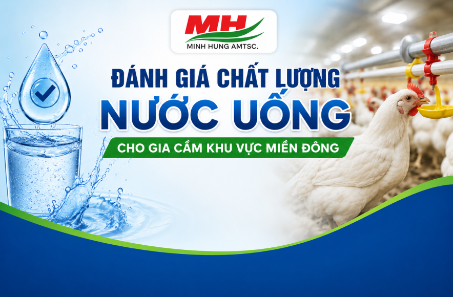 ASSESSMENT OF DRINKING WATER QUALITY FOR POULTRY IN THE EASTERN REGION